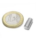2110000189365_15298_1_magnet_stab_13x6mm_15n_ndfeb____________89000613_90fb4aaf.jpg