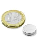 2110000189495_15311_1_magnet_rd_12x3mm_25n_ndfeb____________89001203_5d864ab0.jpg