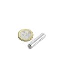 2110000196950_15858_1_magnet_stab_30x8mm_27n___ndfeb____89000830_5b1a4e2c.jpg