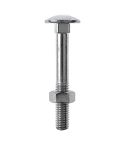 Torbandschraube M5x50 P-H HP 8         21903060