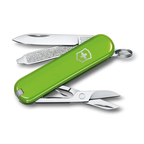 Victorinox Classic SD "Smashed Avocado" hellgrün 0.6223.43G 40162243