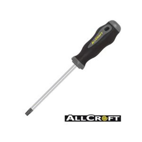 2110000125349_11617_1_torx_t-schraubenz_t25__________________97004427_5cf1487f.jpg