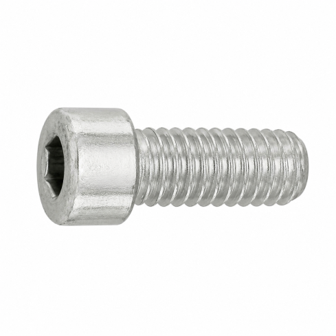 Zylinderkopfschraube M5 x 10 mm, Sechskant, Stahl, verzinkt, 20 Stk 21909666