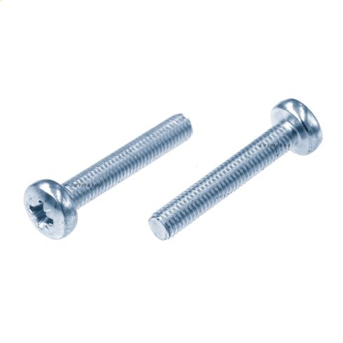 Torbandschraube M5x30 P-H HP10         21903046
